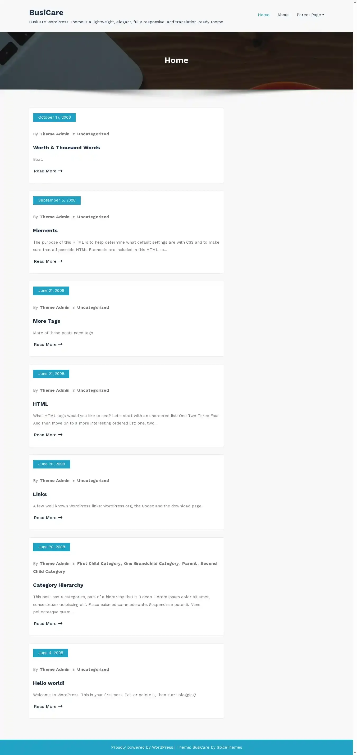BusiCare home page on desktop