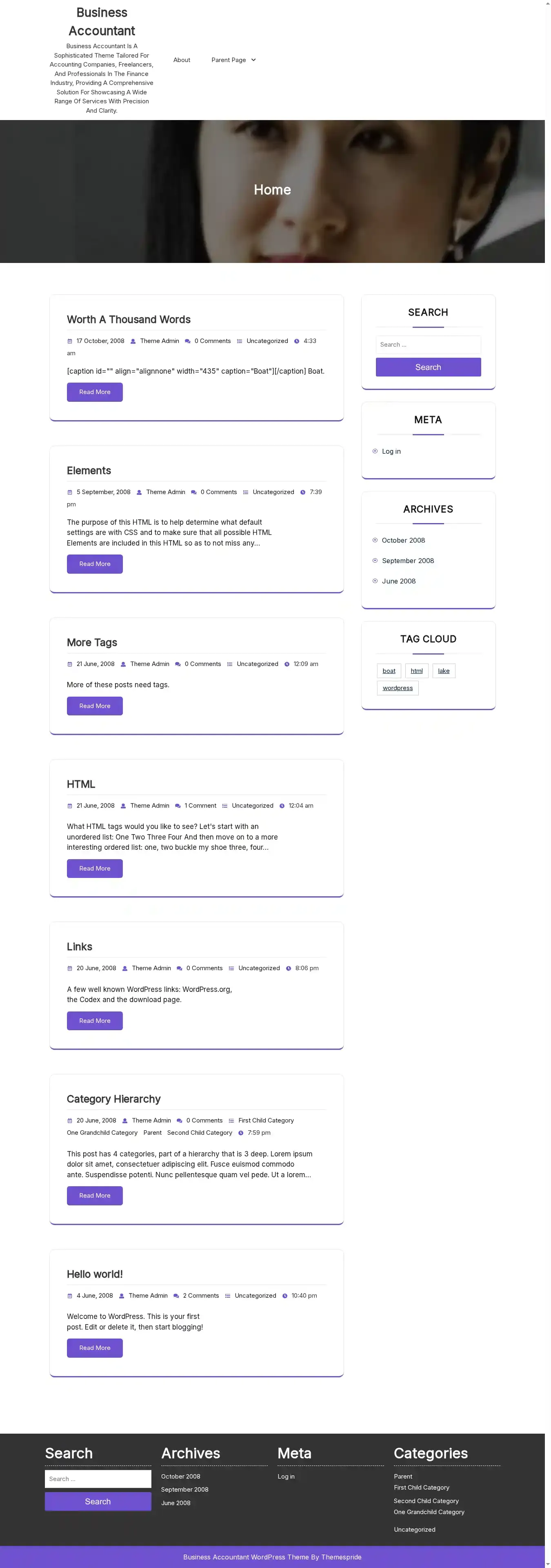 Business Accountant home page on desktop