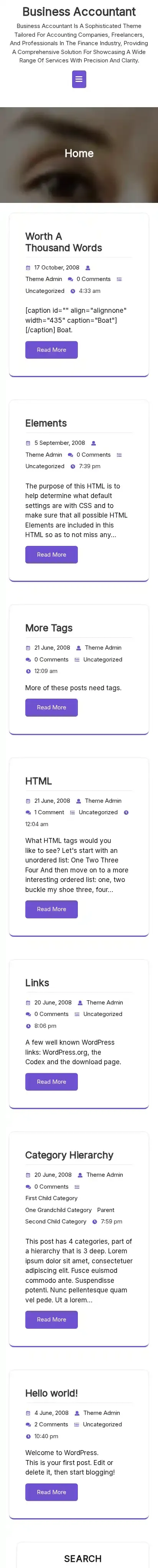 Business Accountant home page on mobile