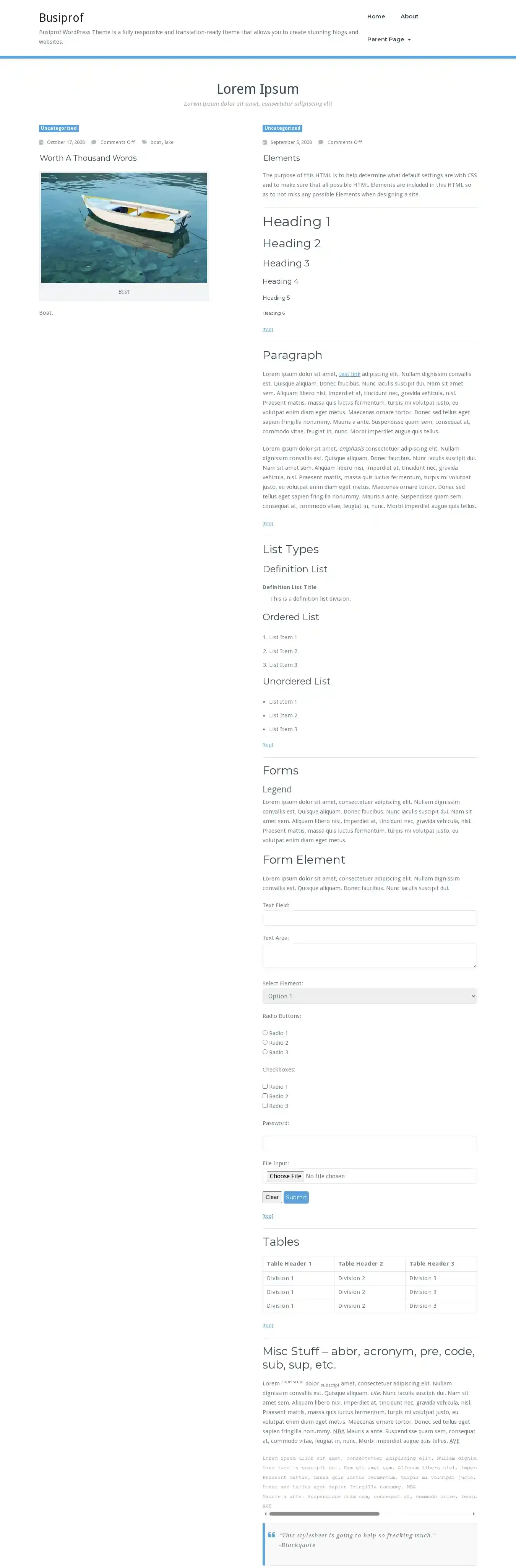 Busiprof home page on desktop