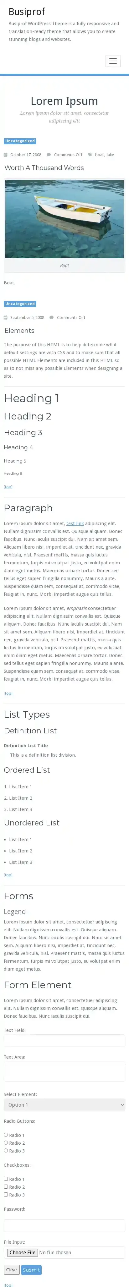 Busiprof home page on mobile
