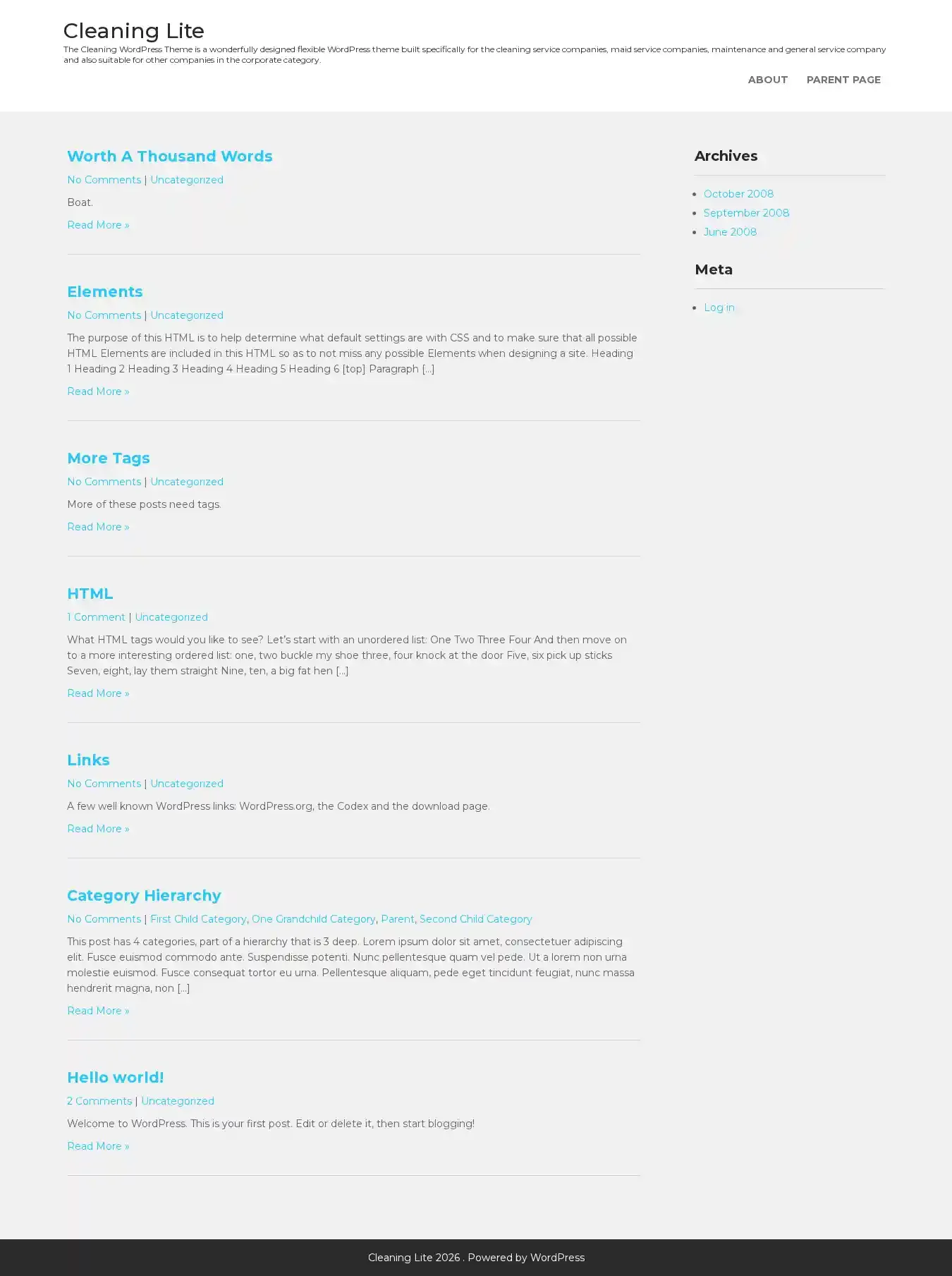 Cleaning Lite home page on desktop