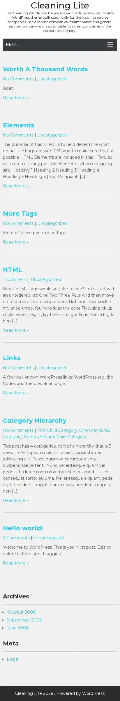Cleaning Lite home page on mobile