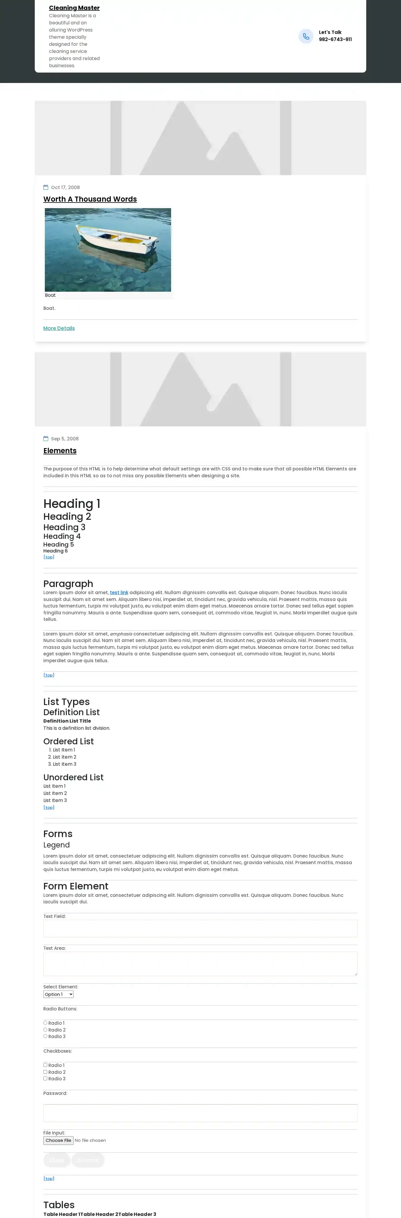 Cleaning Master home page on desktop