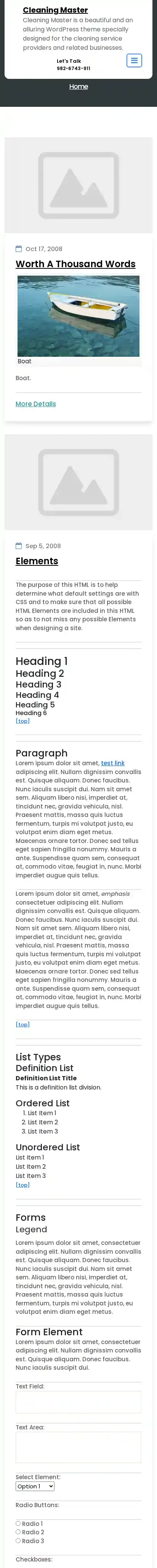 Cleaning Master home page on mobile