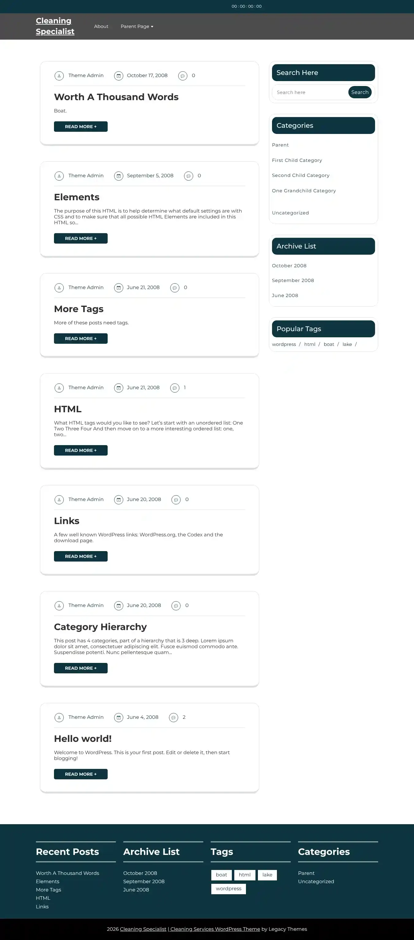 Cleaning Specialist home page on desktop