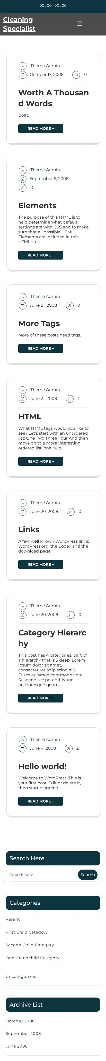 Cleaning Specialist home page on mobile