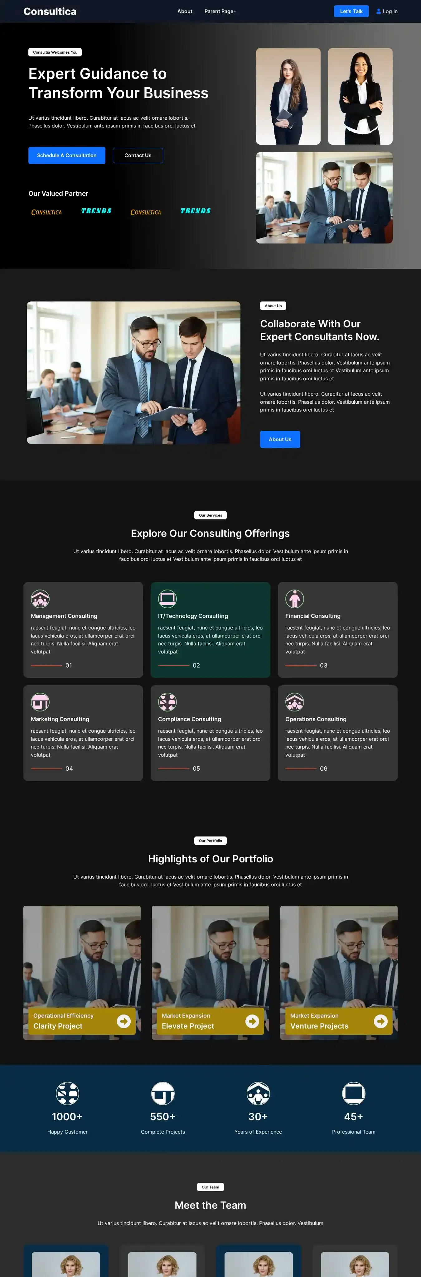 Consultica home page on desktop
