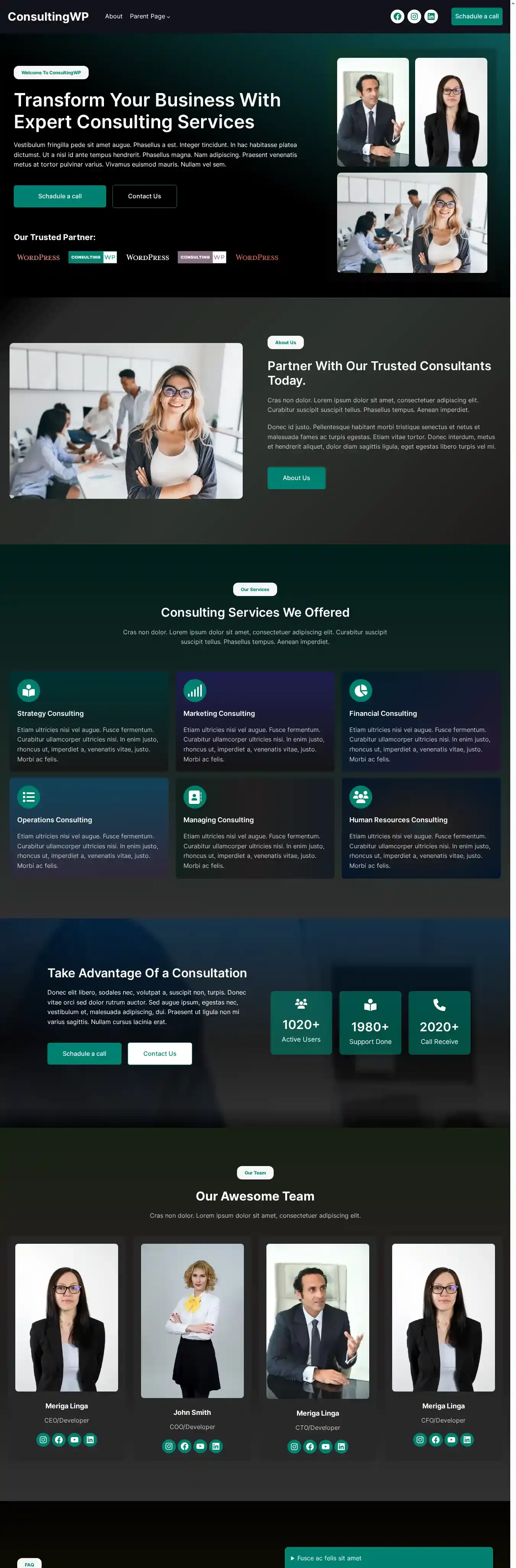 ConsultingWP home page on desktop