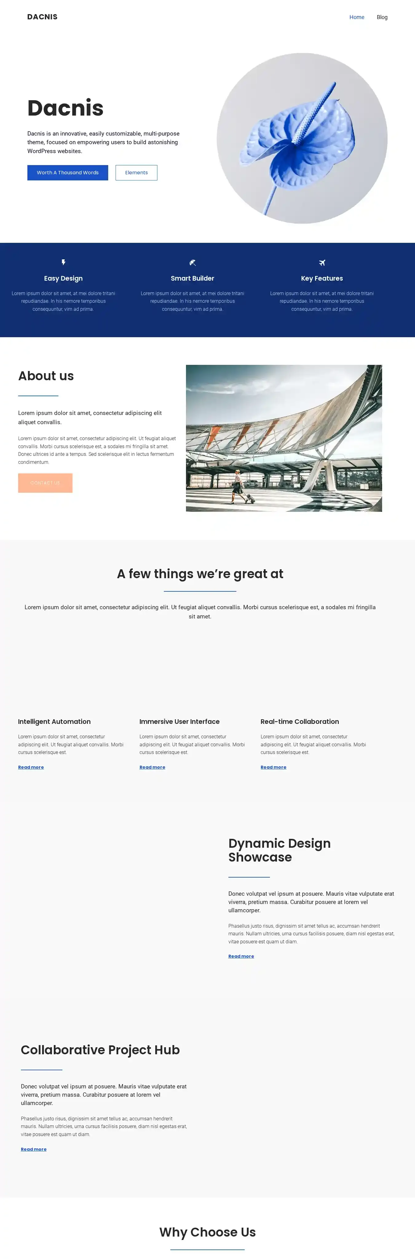 Dacnis home page on desktop