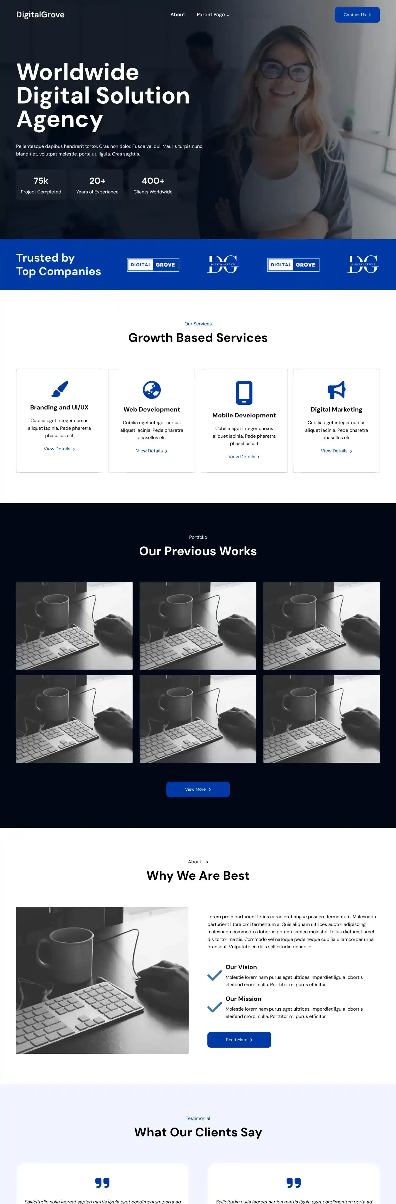 DigitalGrove home page on desktop