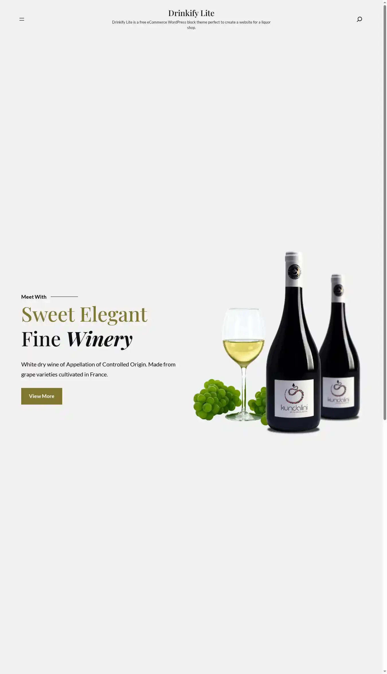 Drinkify Lite home page on desktop