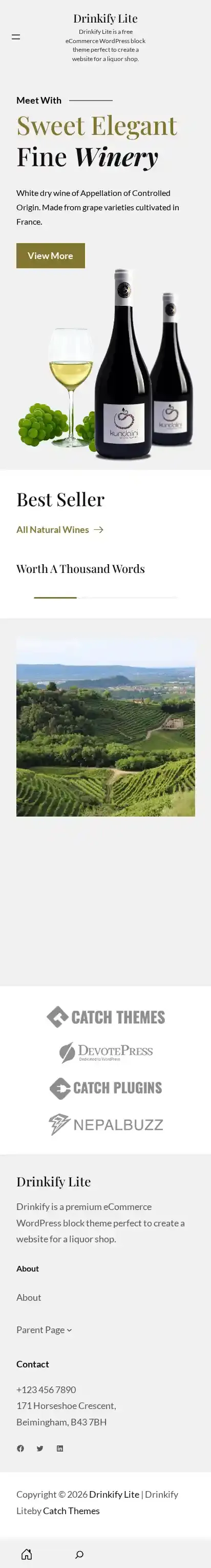Drinkify Lite home page on mobile