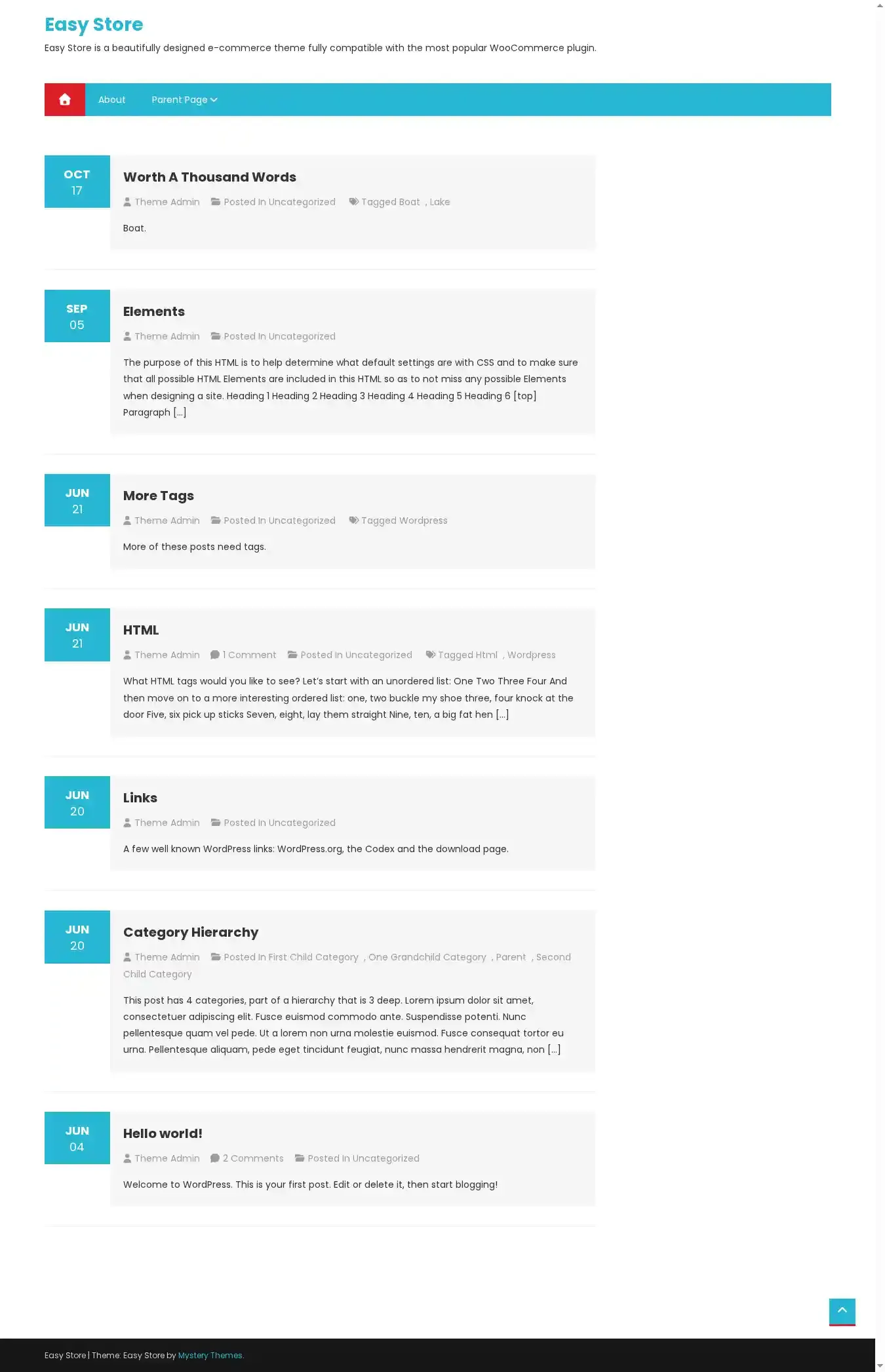 Easy Store home page on desktop