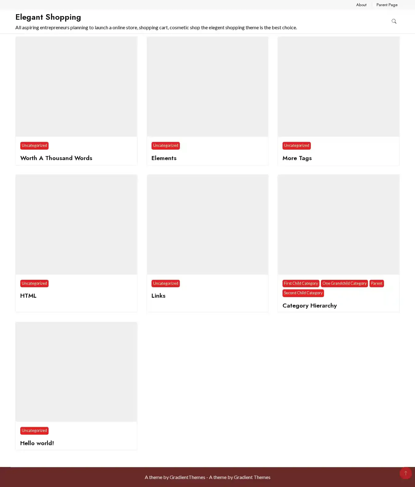 Elegant Shopping home page on desktop