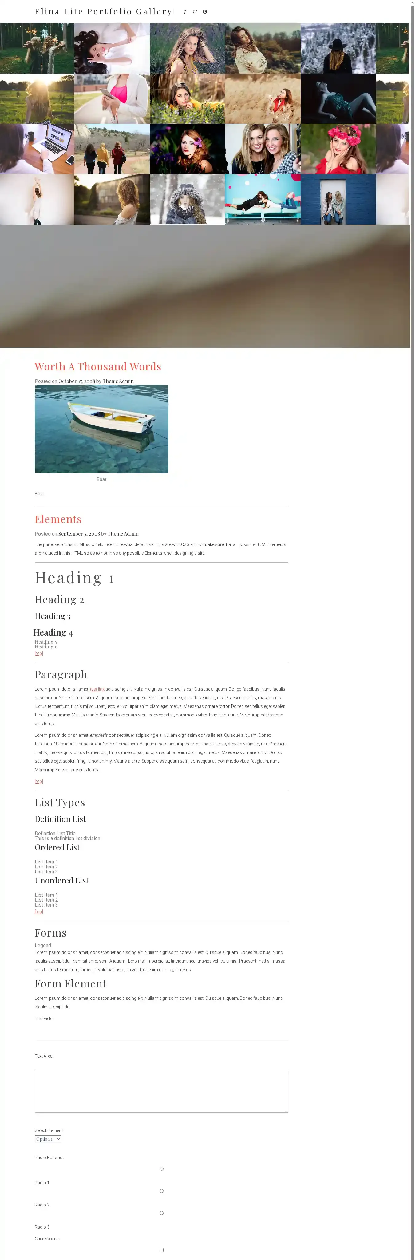 Elina Lite Portfolio Gallery home page on desktop