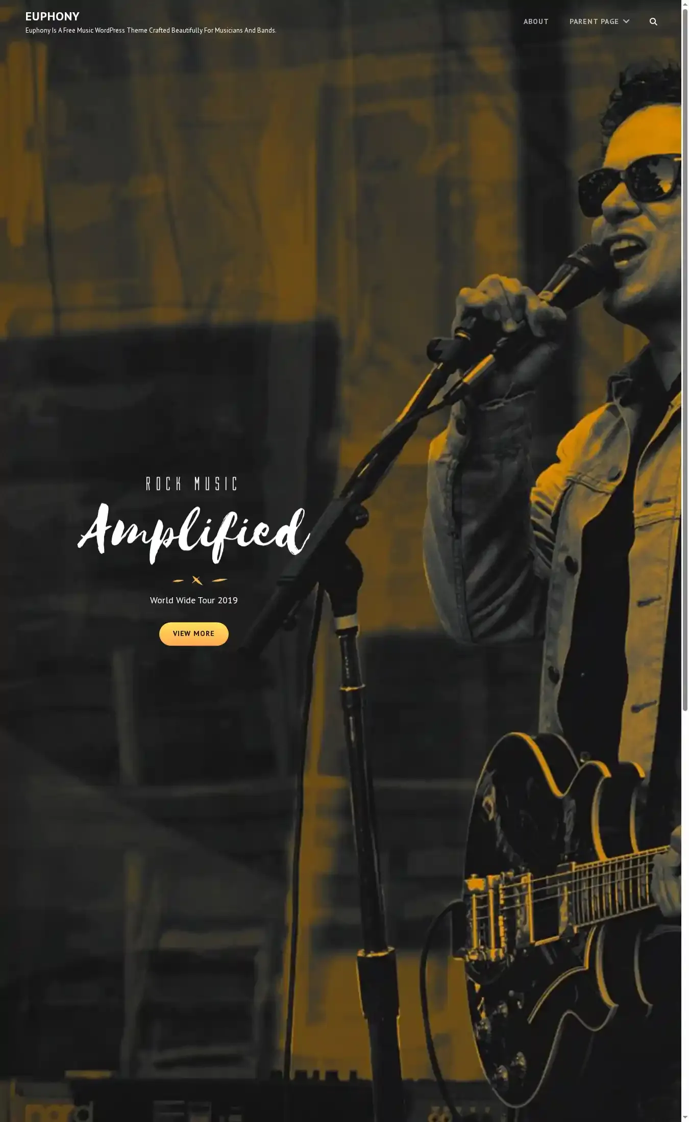 Euphony home page on desktop