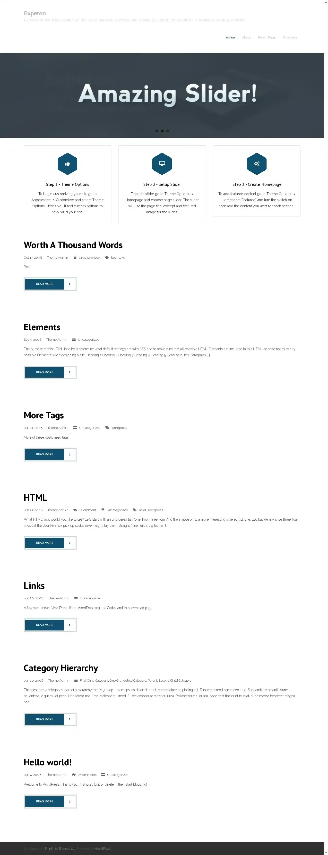 Experon home page on desktop