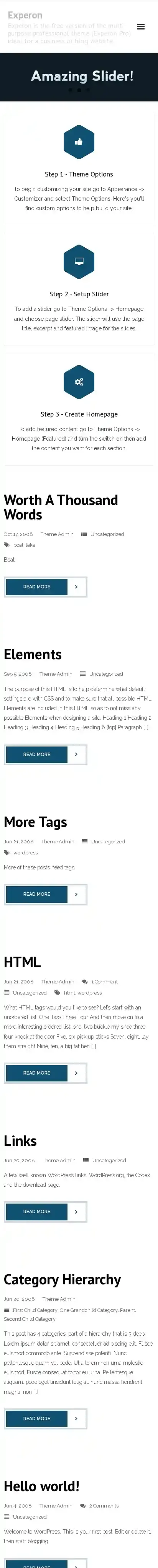 Experon home page on mobile