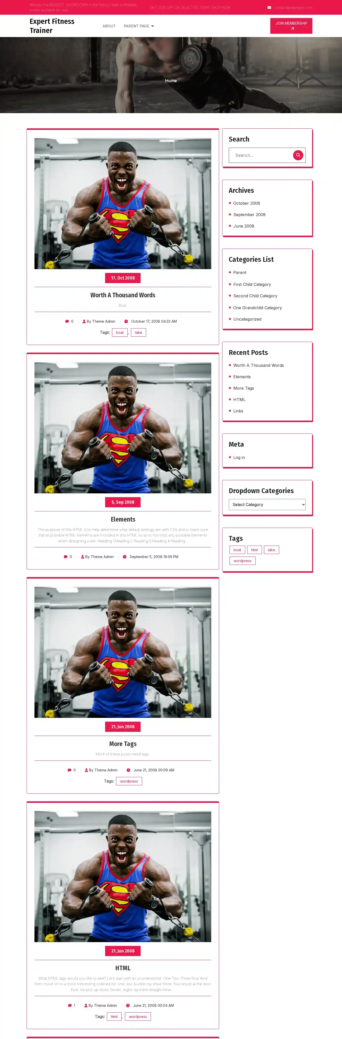 Expert Fitness Trainer home page on desktop