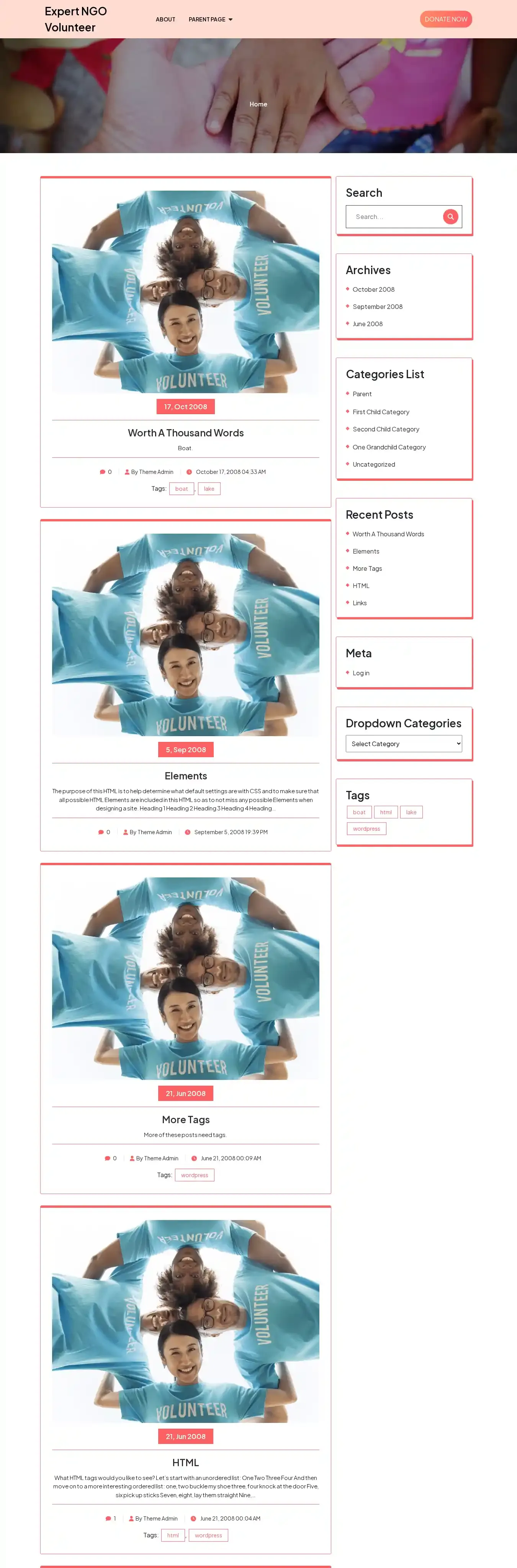 Expert NGO Volunteer home page on desktop