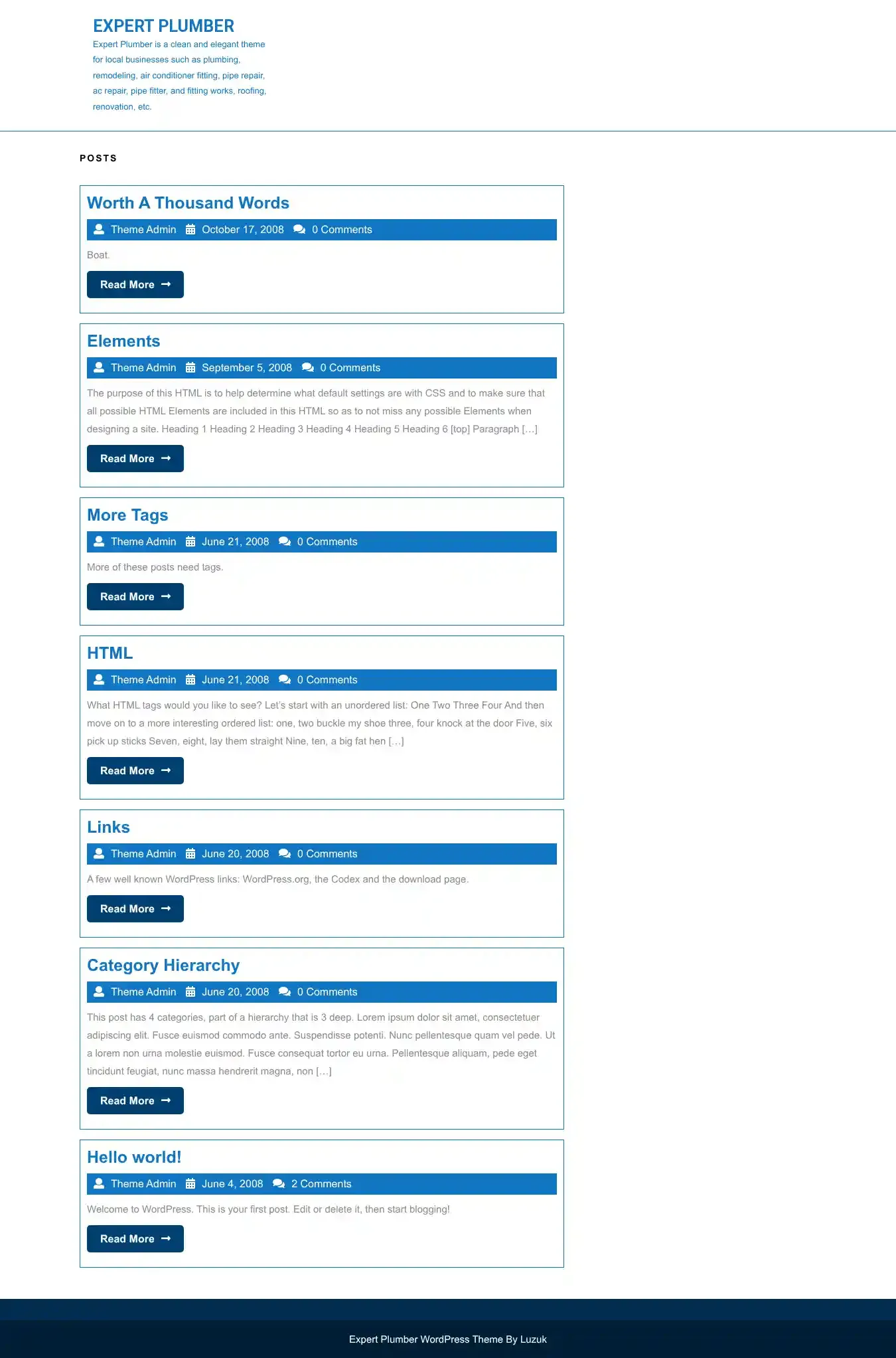 Expert Plumber home page on desktop