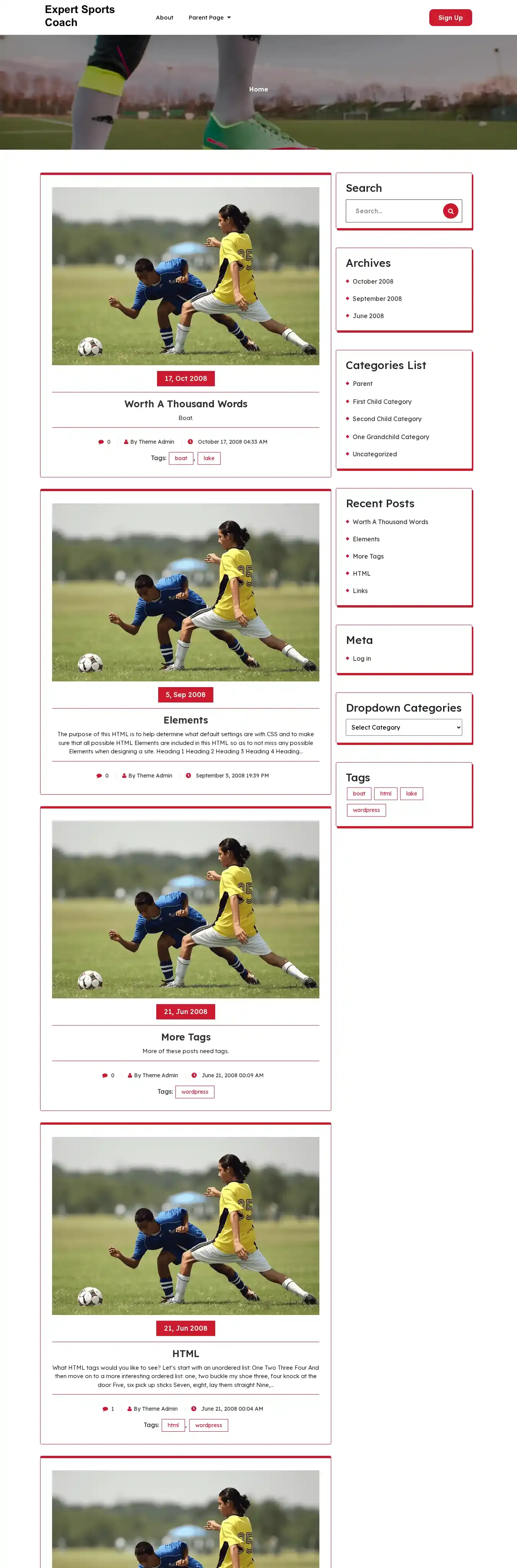Expert Sports Coach home page on desktop