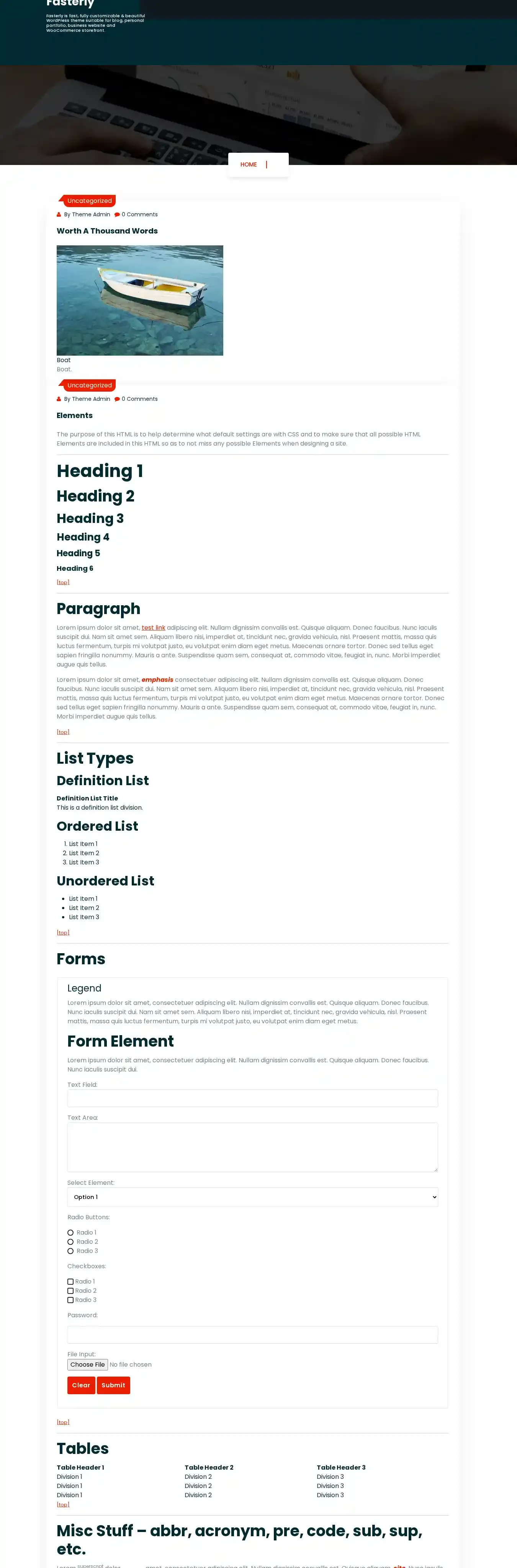 Fasterly home page on desktop