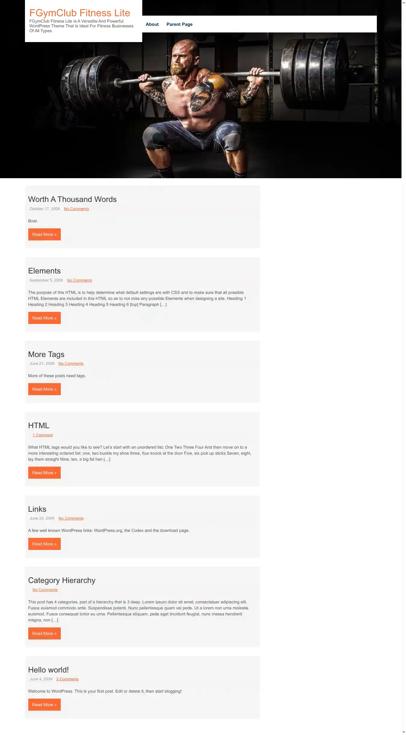 FGymClub Fitness Lite home page on desktop