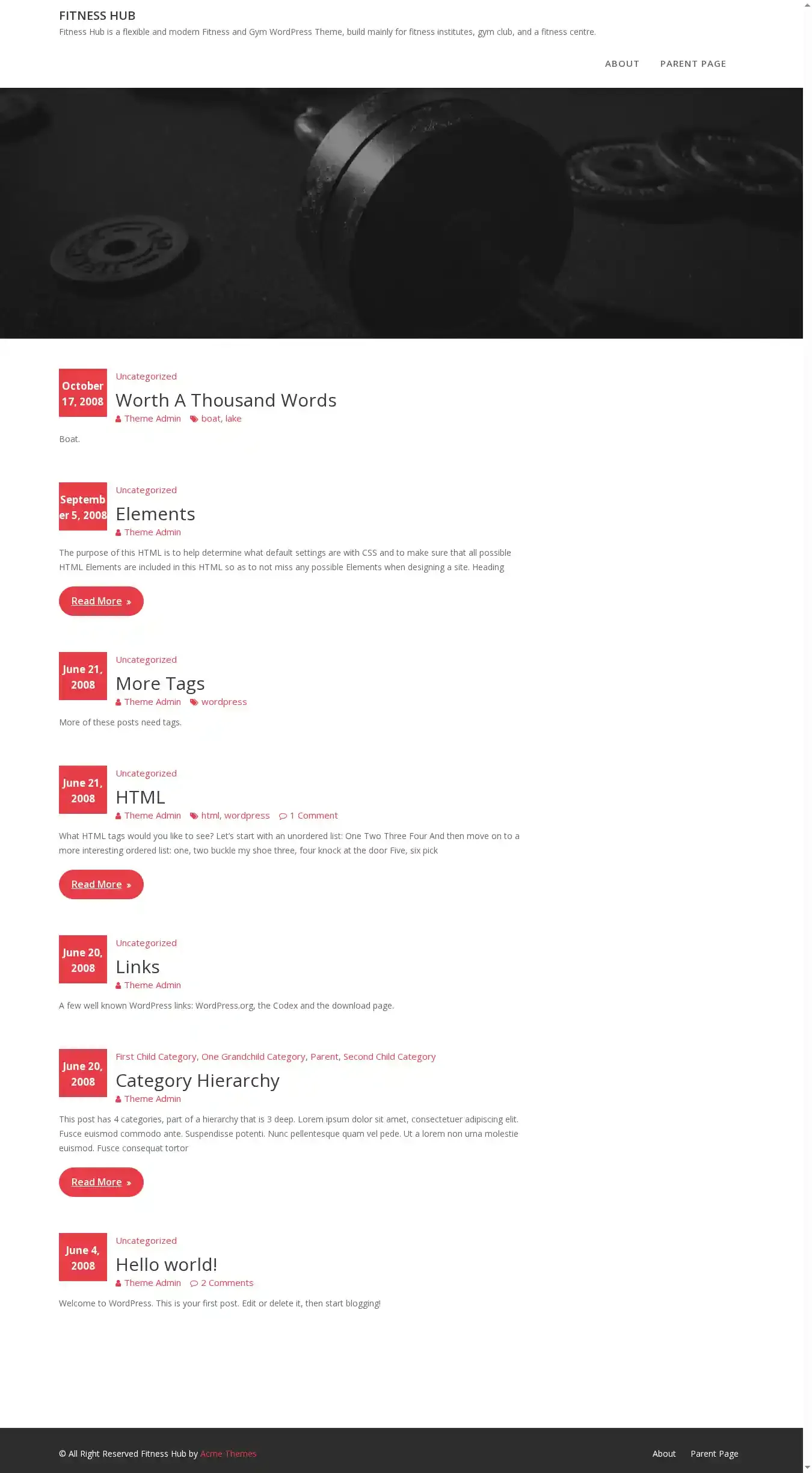Fitness Hub home page on desktop