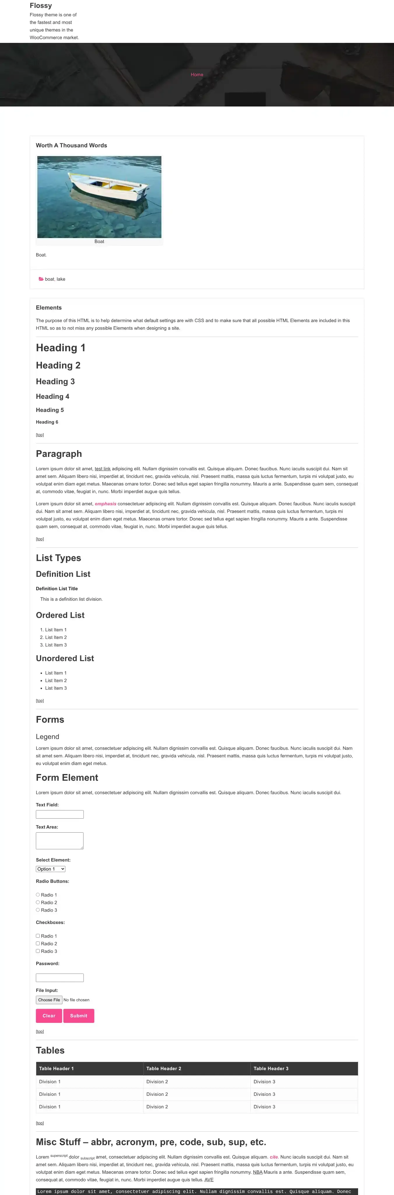 Flossy home page on desktop