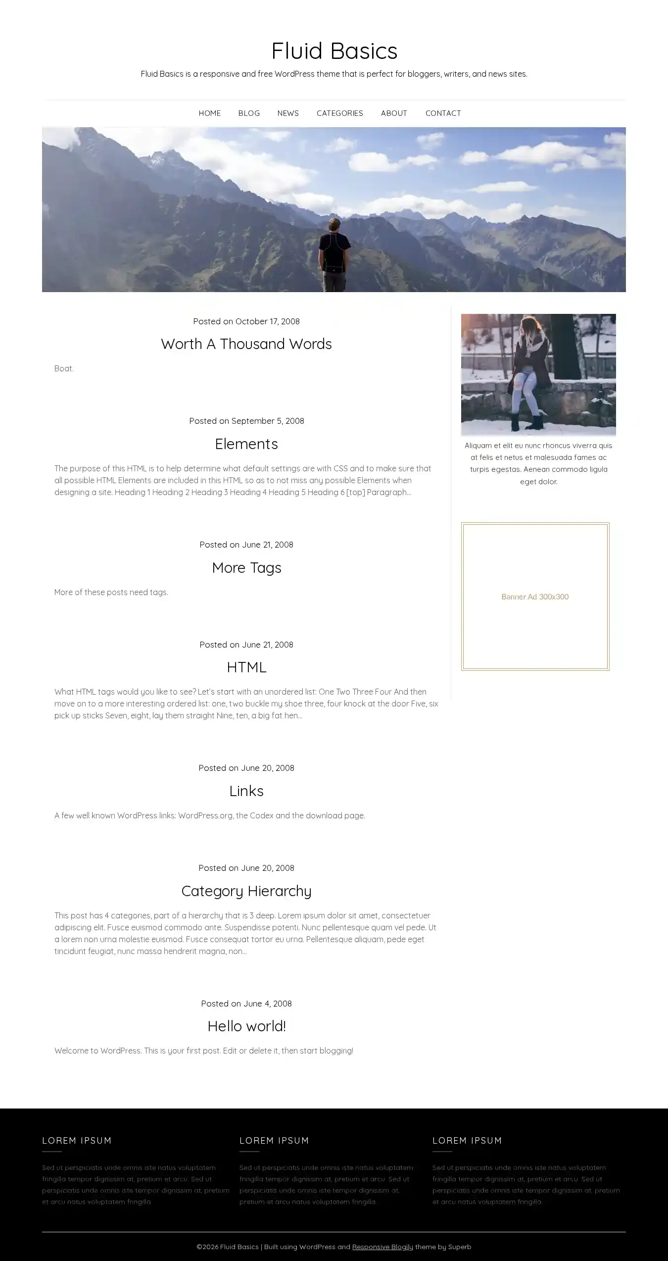 Fluid Basics home page on desktop