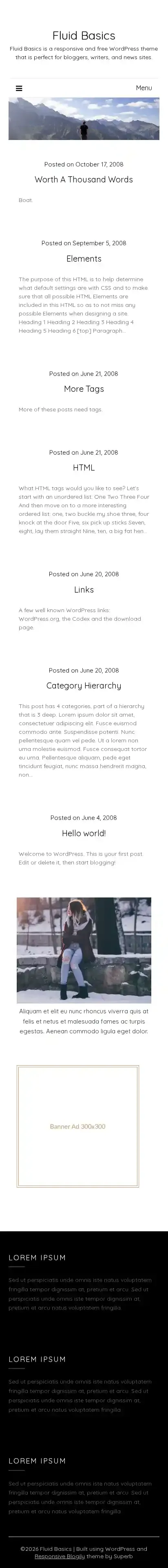 Fluid Basics home page on mobile