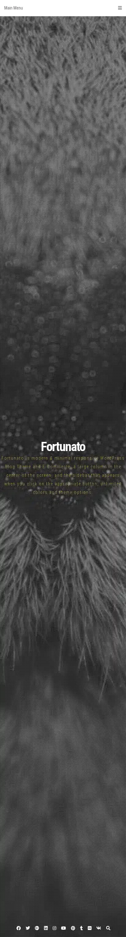 Fortunato home page on mobile