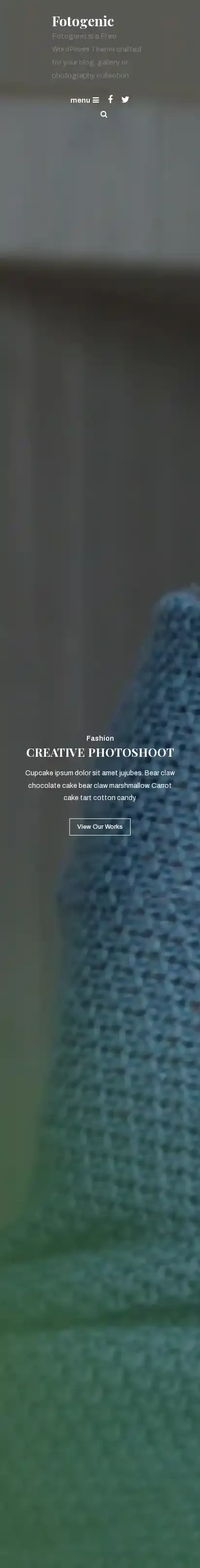 Fotogenic home page on mobile
