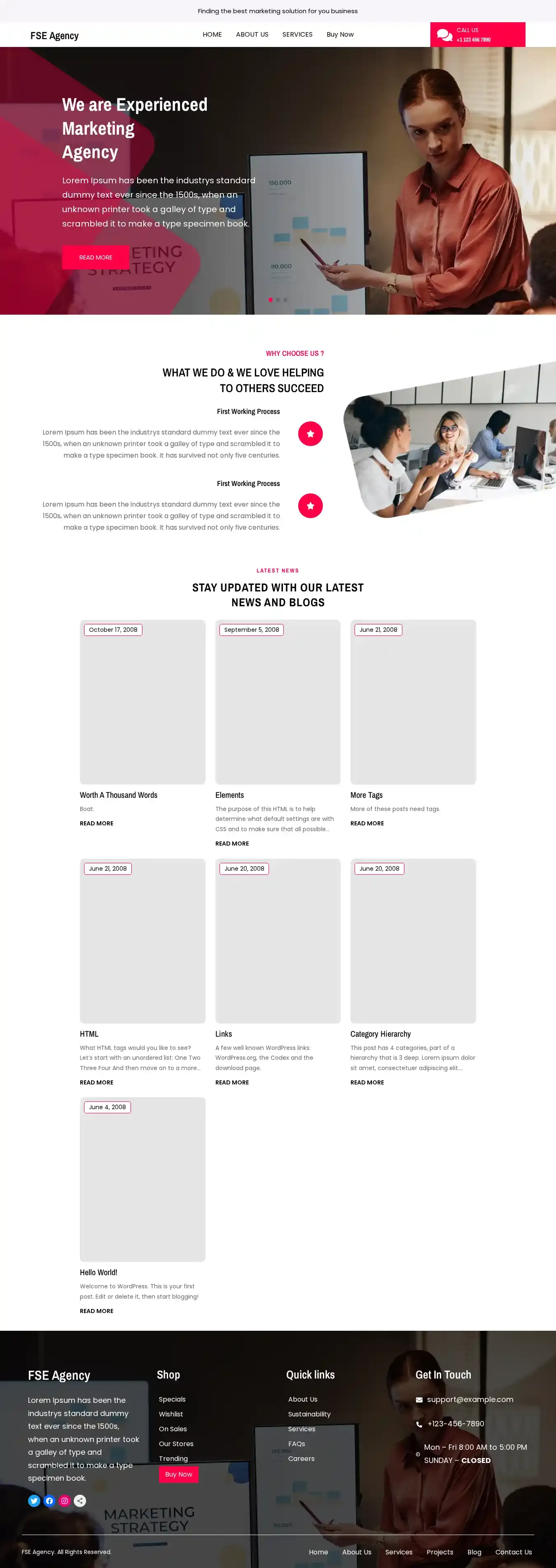 FSE Agency home page on desktop