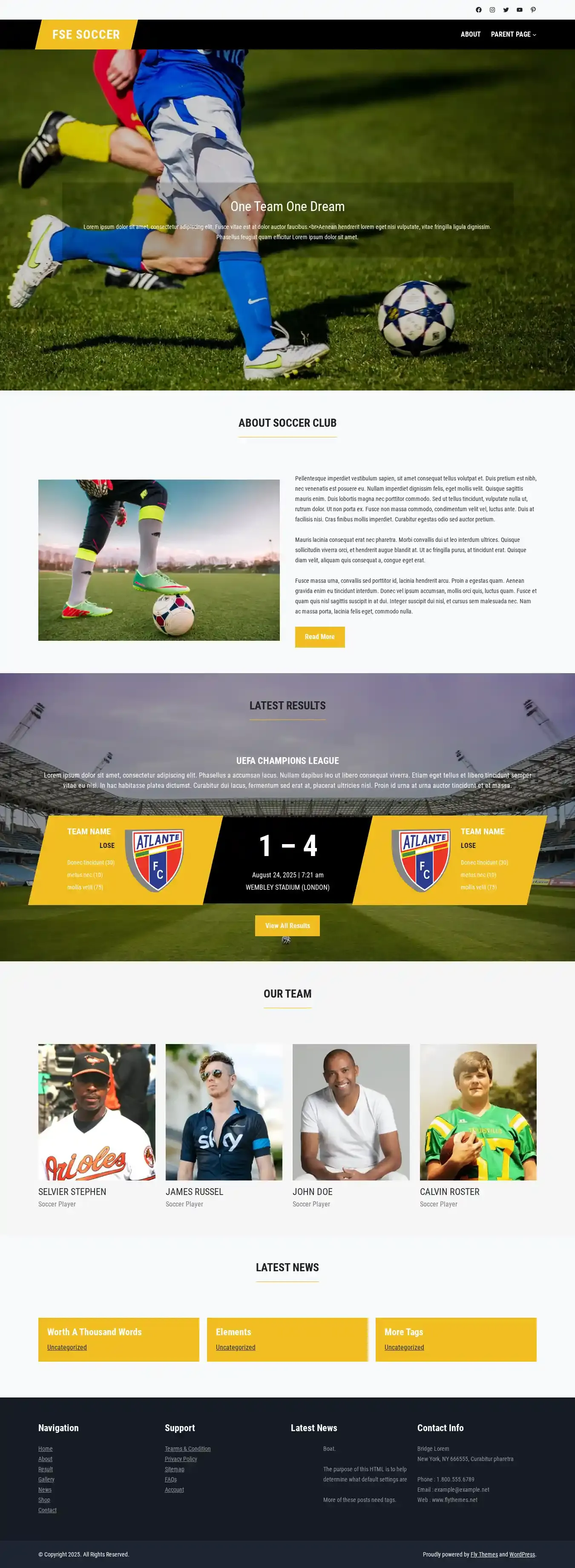 FSE Soccer home page on desktop