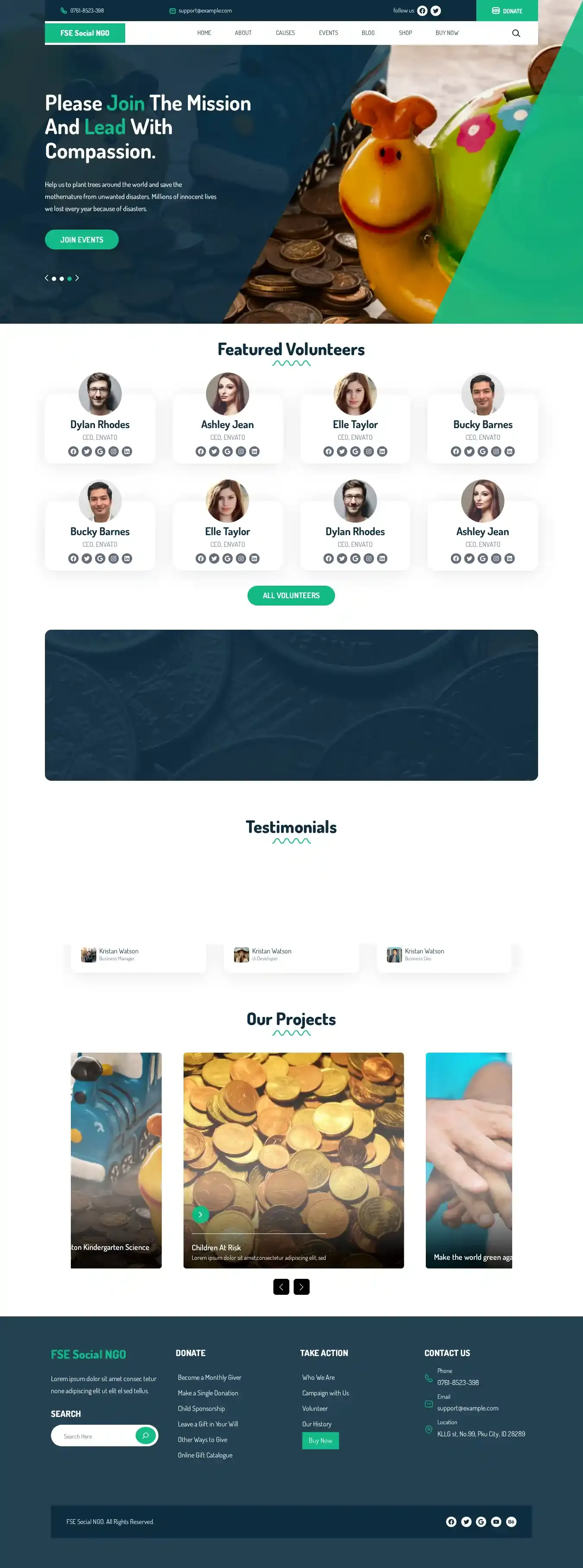 FSE Social NGO home page on desktop