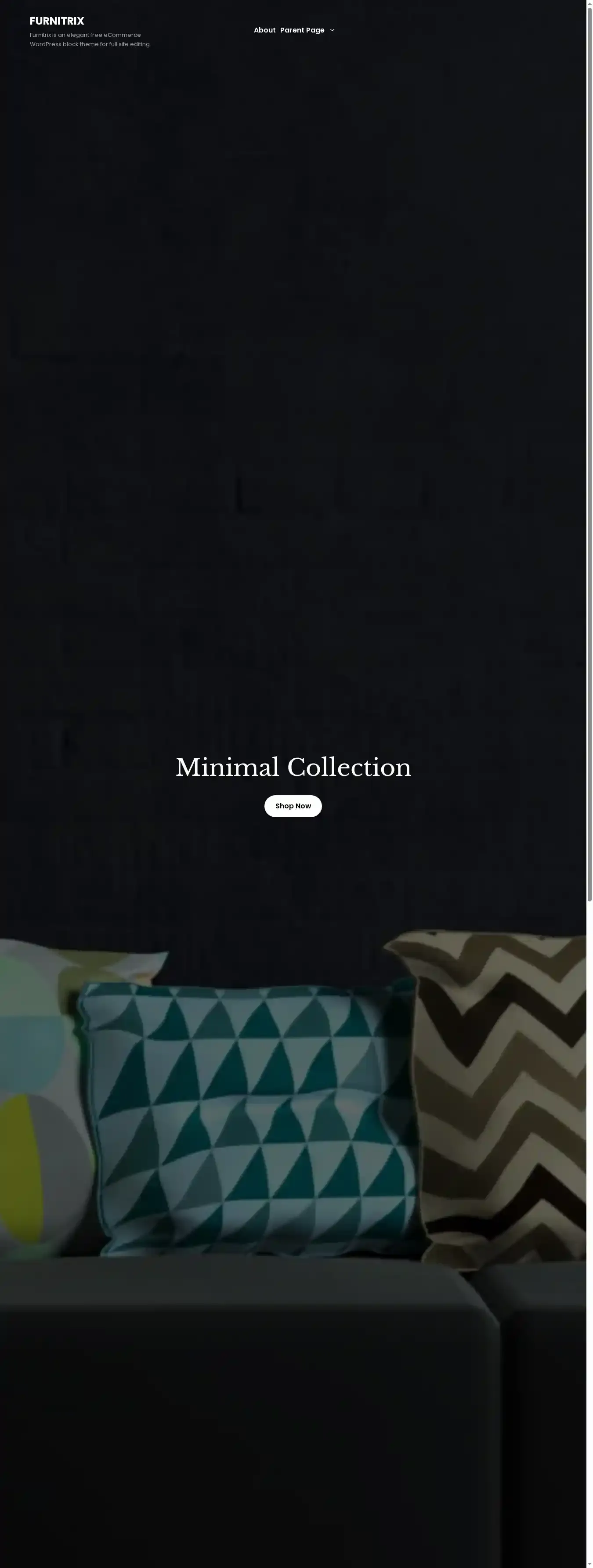 Furnitrix home page on desktop