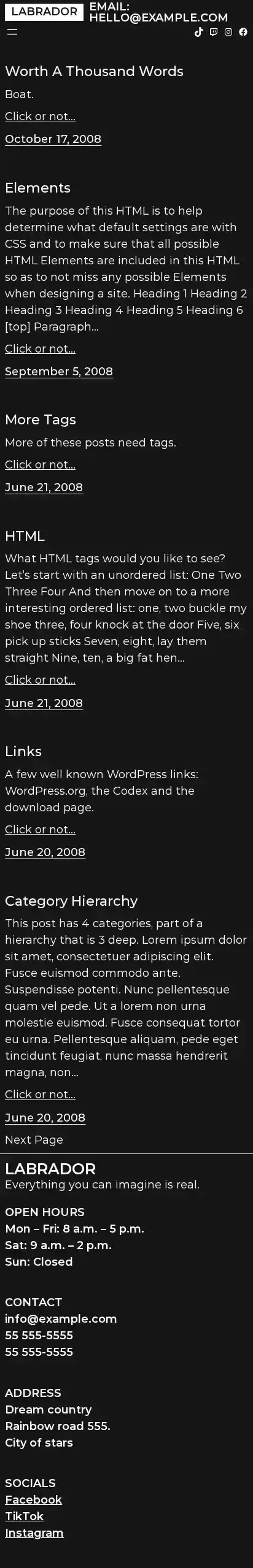 Labrador home page on mobile