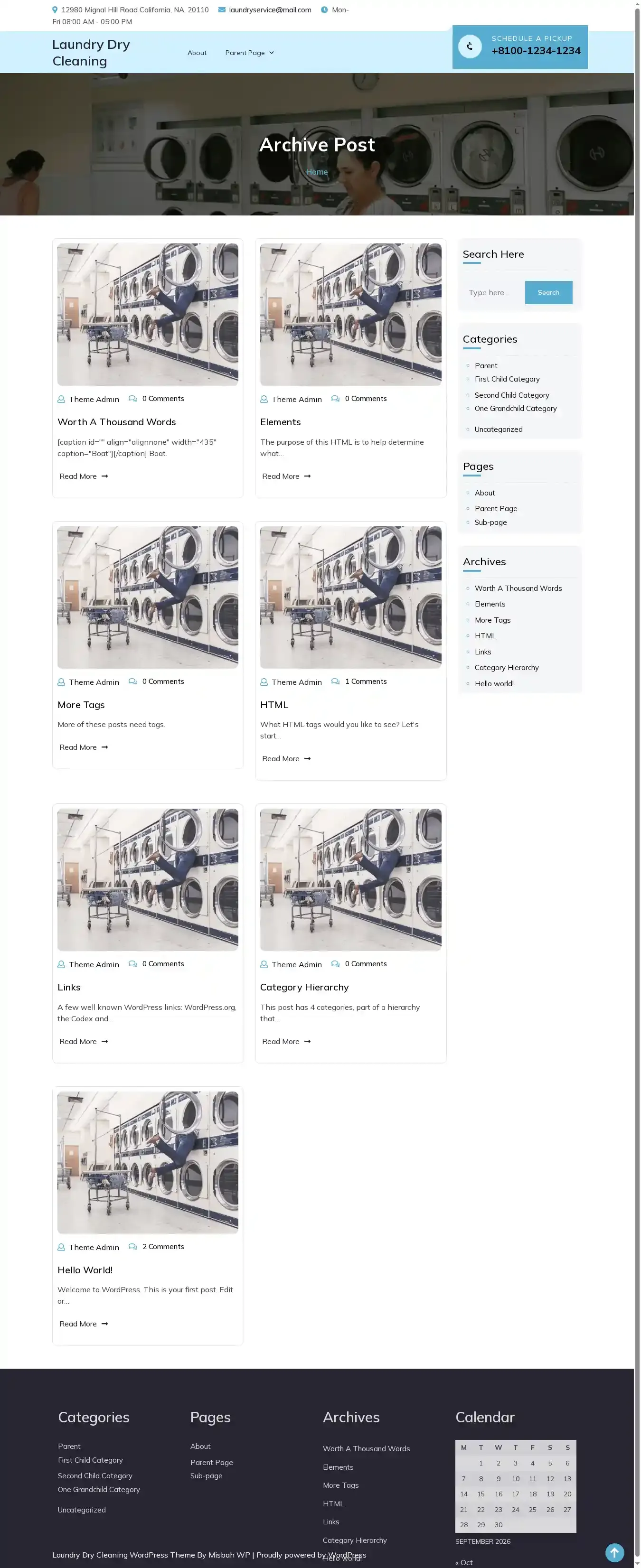 Laundry Dry Cleaning home page on desktop