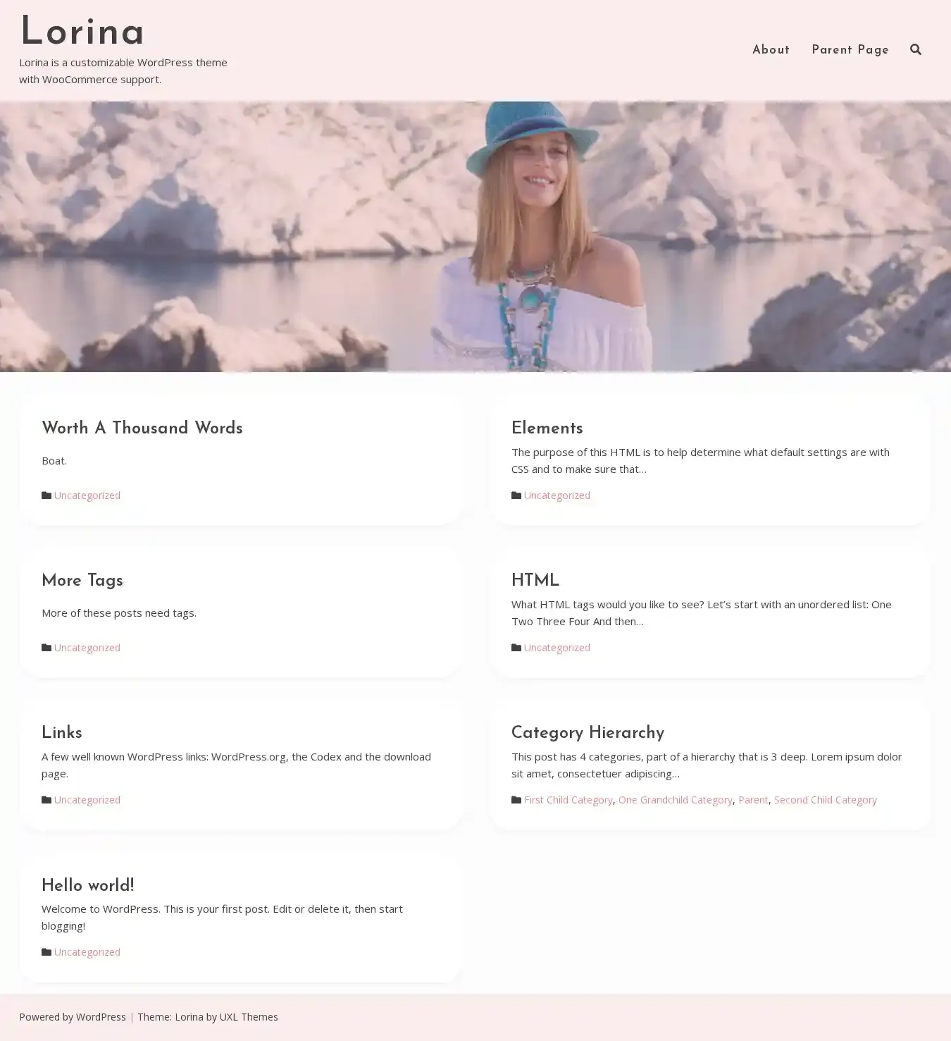 Lorina home page on desktop