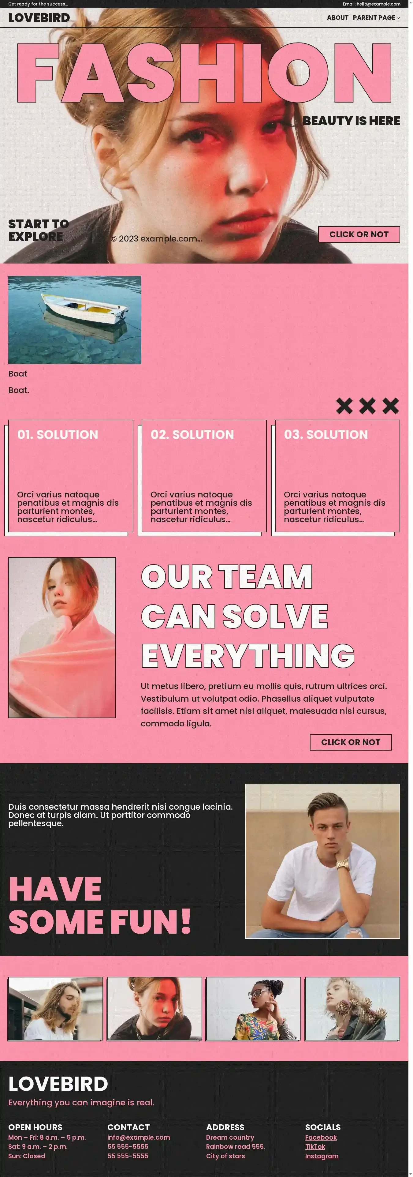 Lovebird home page on desktop