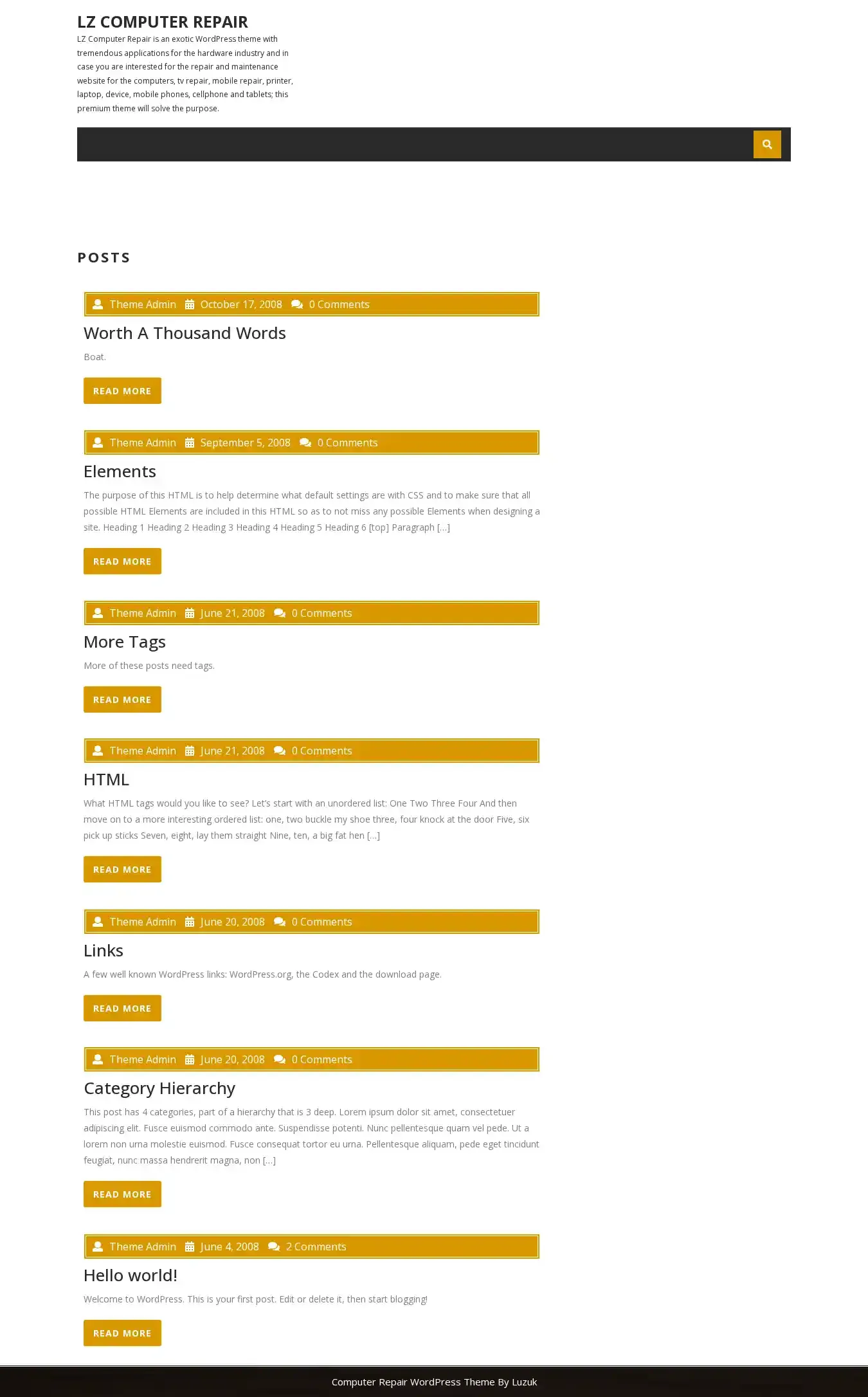 LZ Computer Repair home page on desktop
