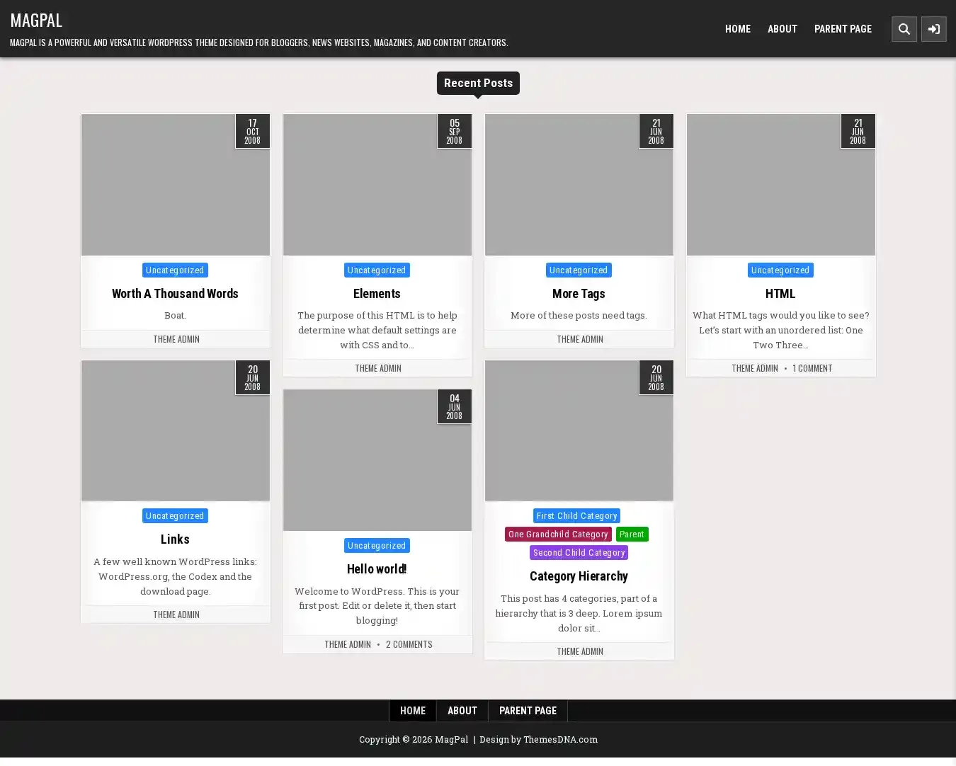 MagPal home page on desktop