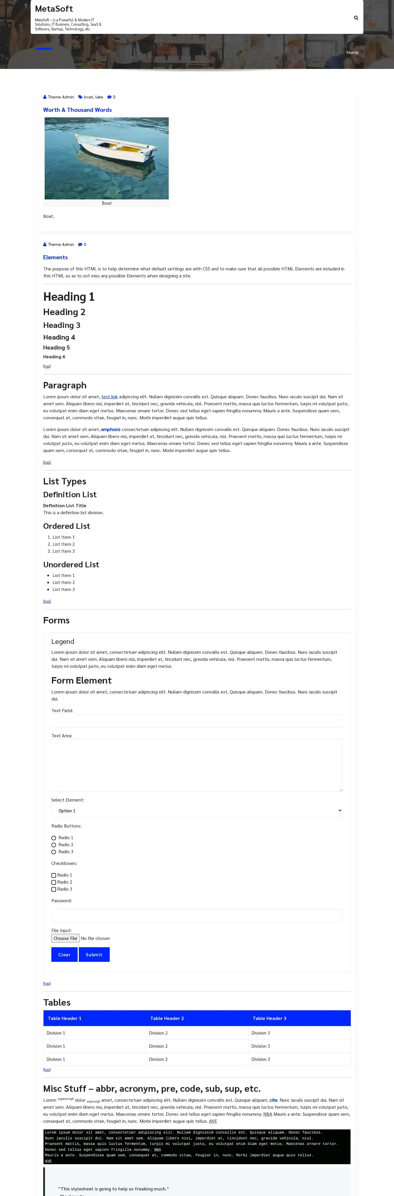 MetaSoft home page on desktop