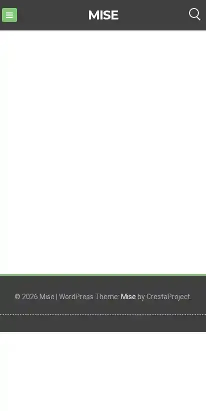 Mise home page on mobile