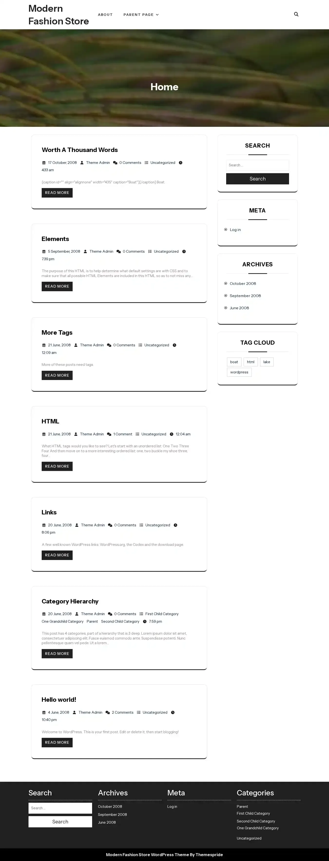 Modern Fashion Store home page on desktop