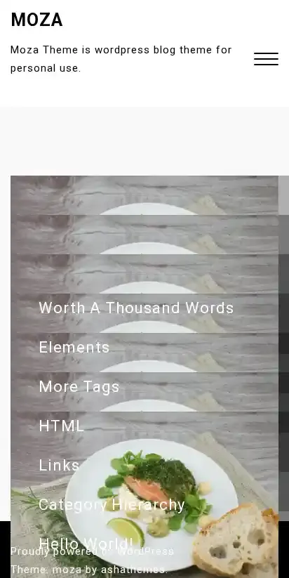 Moza home page on mobile