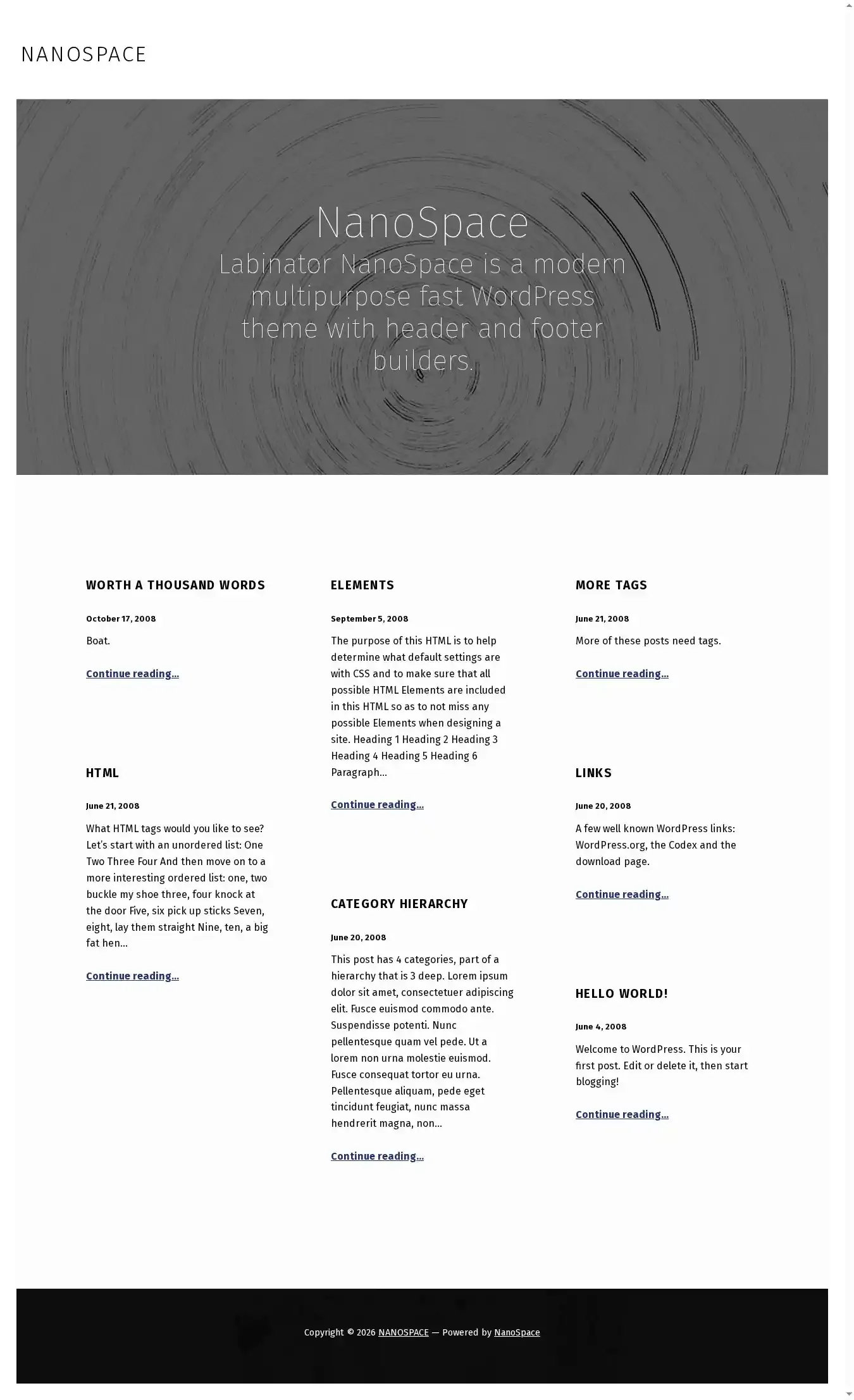 NanoSpace home page on desktop